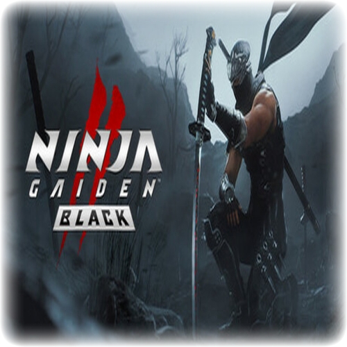  NINJA GAIDEN 2 Black - GARANTİ